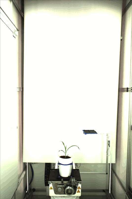 Growing plant phenovision cabin