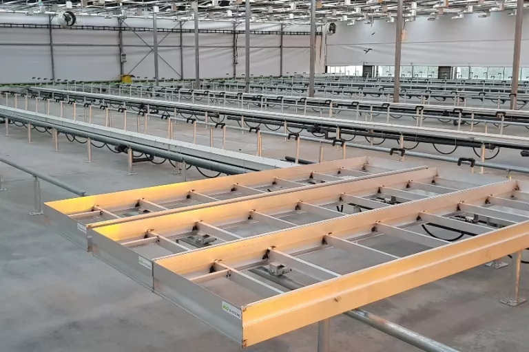 Agro incubator Nevele
