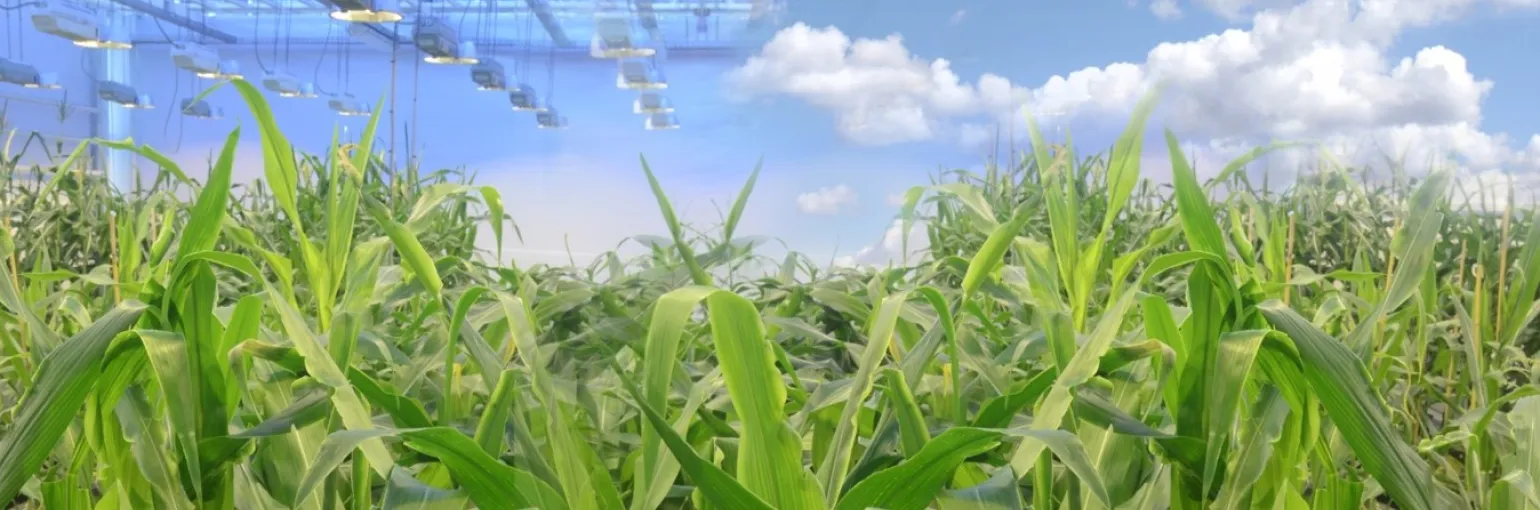 lab to field