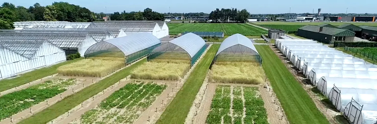 ILVO drone view rainout shelters