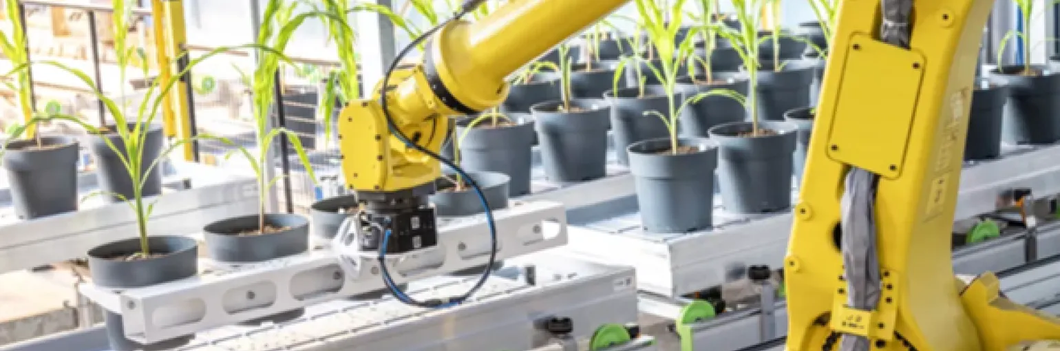 Picture of robot arm at VIB Agro-Incubator