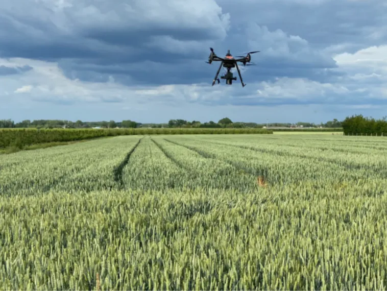 drone based phenotyping