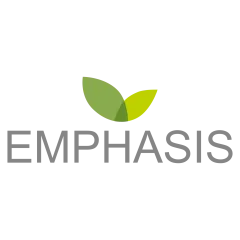 emphasis cadre 2